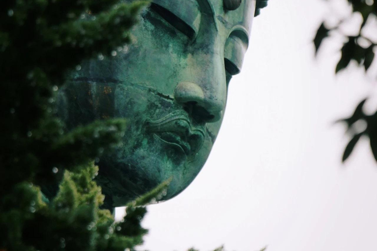 From Tokyo: Kamakura Private Day Trip with 3 Route Options Classic Kamakura & Hidden Gems Route