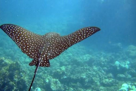 San Cristóbal: 360° Navigable Tour with Lunch & Snorkeling