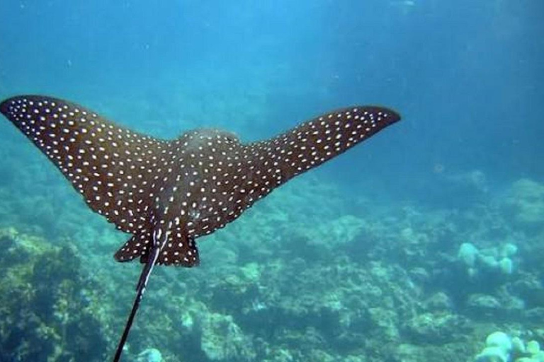 San Cristóbal: 360° Navigable Tour with Lunch & Snorkeling
