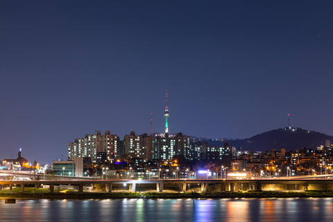 Seoul: gechartertes Fahrzeug Staria Lounge van City Tour