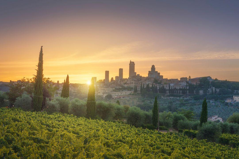 Florence: Tuscany 1-Day Flexible Sightseeing Bus Tour