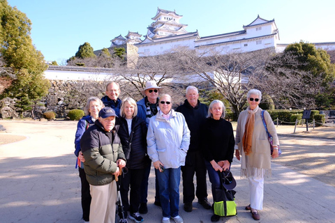 Osaka/Nara: Privat anpassningsbar rundvandring med guide