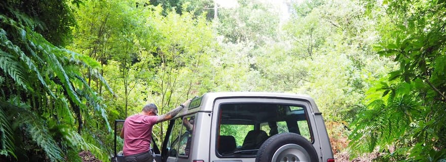 Madeira Northern Express, visite privée 4x4