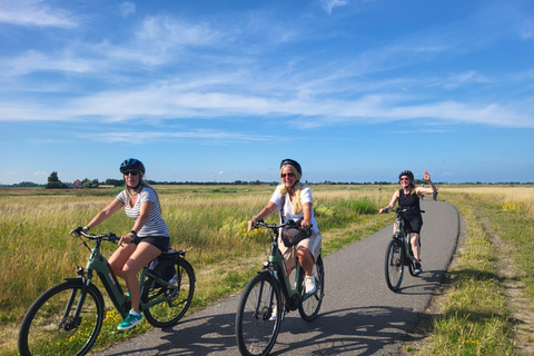 Amsterdam: Dutch Countryside E-Bike with Cheese & Clogs