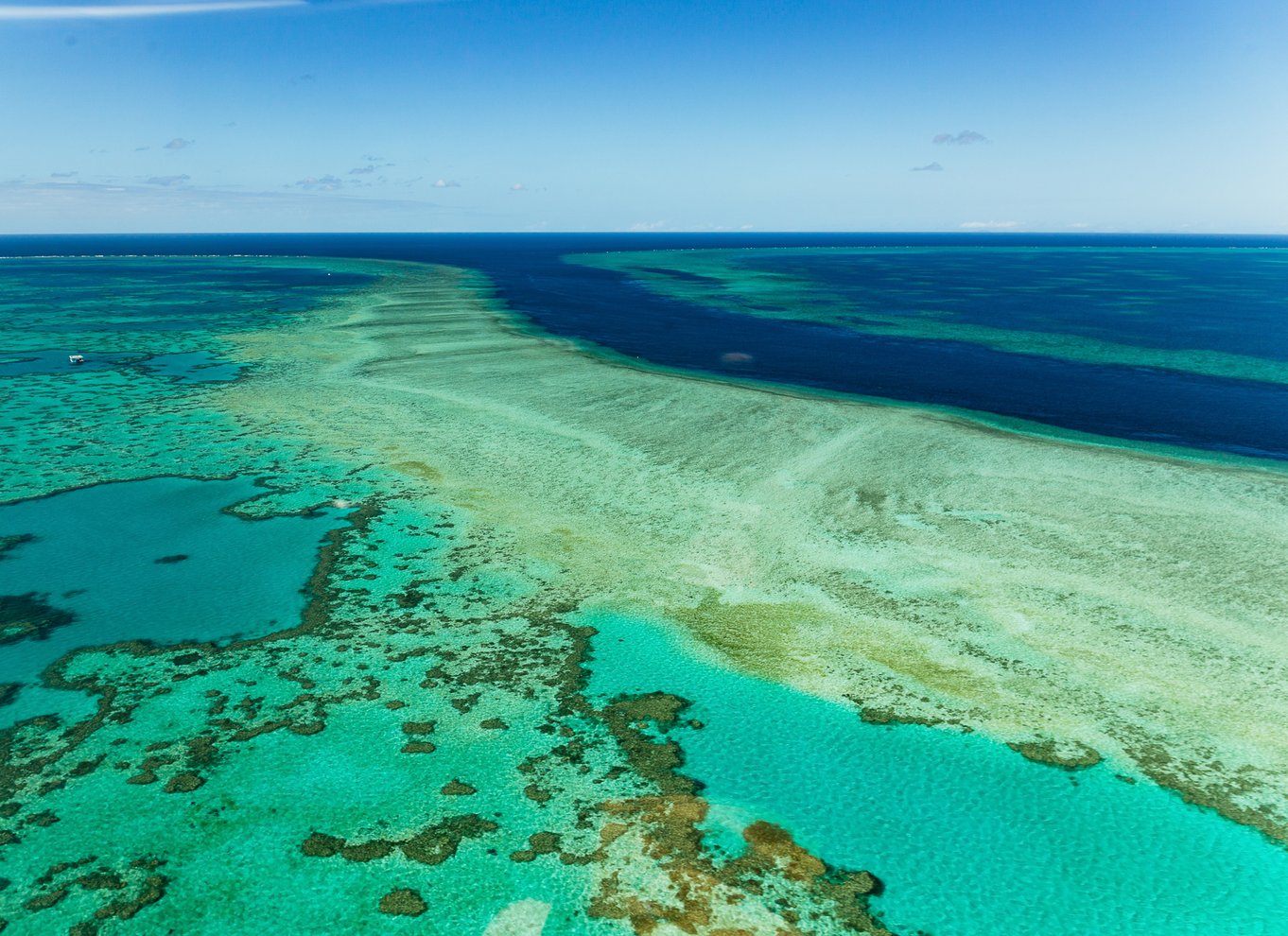 Fra Airlie Beach: Whitsundays Scenic Flight med afhentning