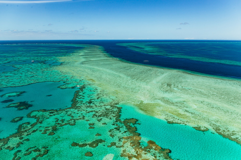 Depuis Airlie Beach : Vol panoramique des Whitsundays avec prise en charge