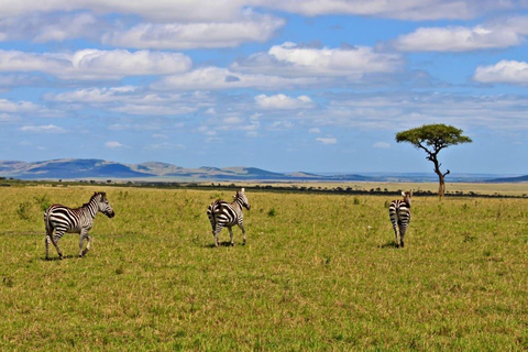 Kenya: 10-Day Wildlife and Cultural Safari