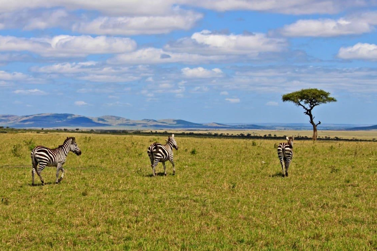 Kenya: 10-Day Wildlife and Cultural Safari