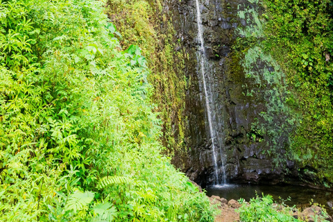 Vandring till vattenfall på Hawaii