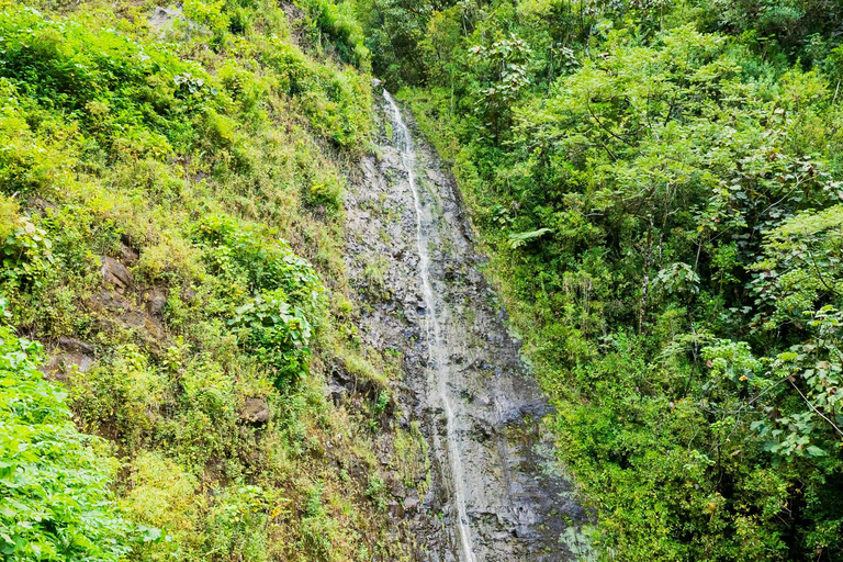 Vandring till vattenfall på Hawaii