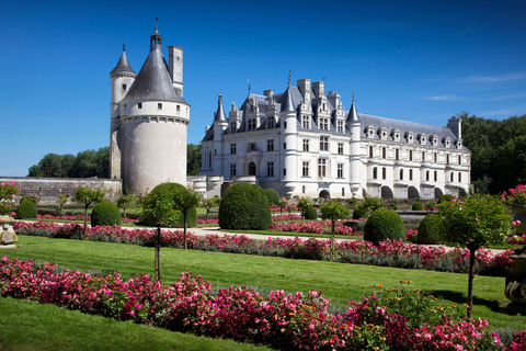 Loire Valley: Full Day Horse Ride, Grand Canal & Castle View