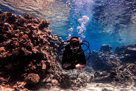 Aqaba Dive Adventure : Explorez la mer Rouge lors d&#039;une excursion