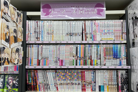 Akihabara : visite guidée avec une brochure spéciale