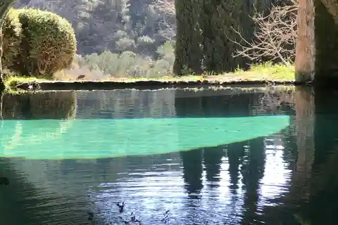 The most beautiful gardens in Mallorca