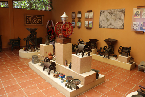 De Huatulco: 3 níveis, café, cultura e natureza