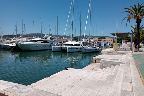 Vanuit Palma: dolfijn-boottocht in de namiddag13:11 uur Tour vanaf bushalte 355 Taurus Park