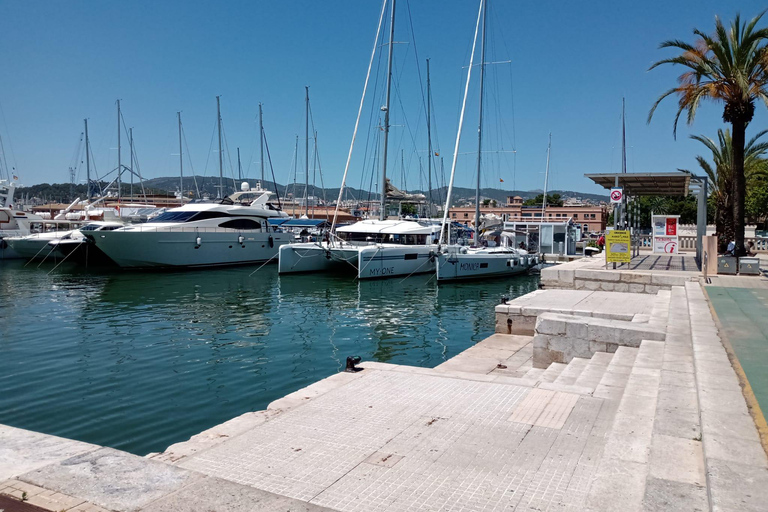 Desde Palma: tour en barco de avistamiento de delfines por la tarde13:11 Recorrido desde la parada 355 del Parque Taurus