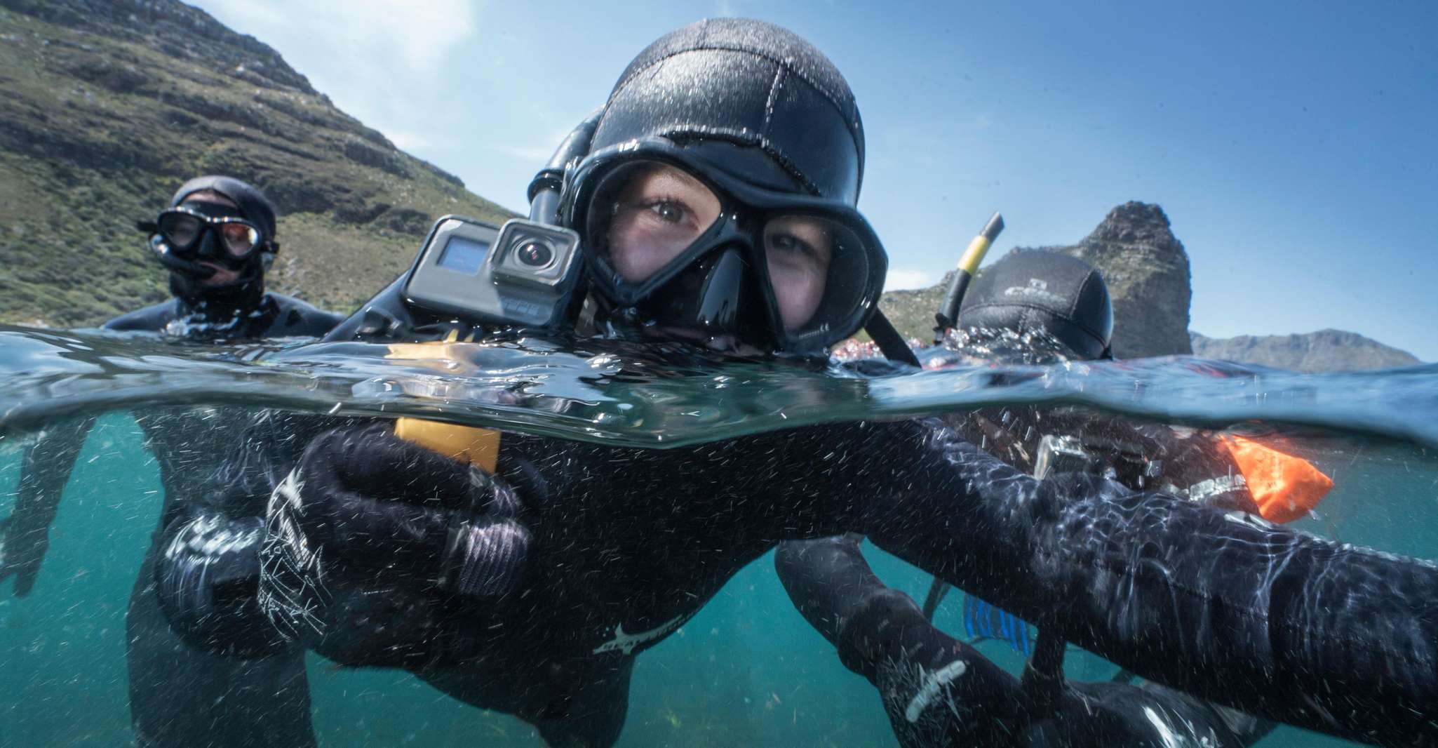 Ciudad del Cabo, crucero con snorkel de sello guiado en Hout Bay - Hizvo