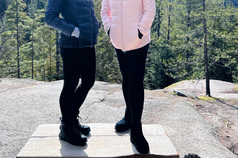 Limited Small Group Tour: Shannon Falls & Sea to Sky Gondola