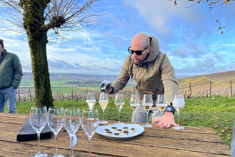 Champagne: Private Tour of Veuve Clicquot, Moët & Ruinart