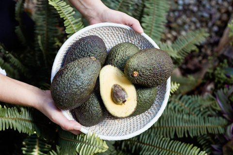 Tenerife: Avocado Farm Tour with Tasting Menu & Wine