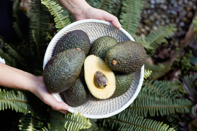 Tenerife: Avocado Farm Tour with Tasting Menu & Wine
