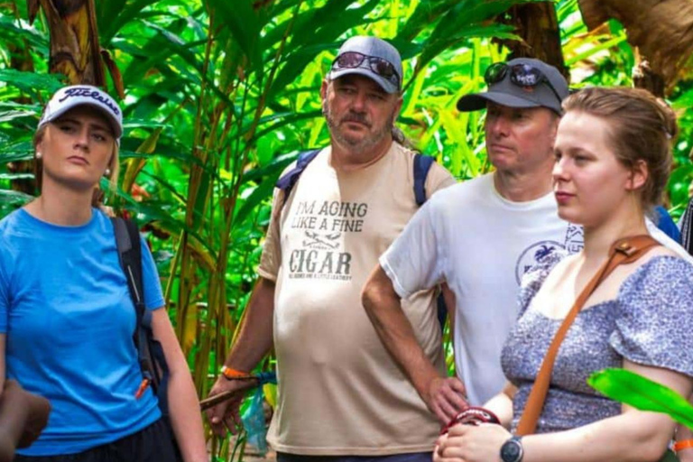 Sansibar: Gewürzfarm-Tour und geführter Rundgang durch Stone TownPrivate Tour ohne Abholung vom Hotel und Rücktransfer