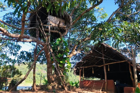 Sri Lanka: 10-Day Wildlife, Culture & Scenic Adventure