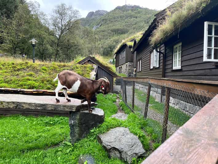 Stavanger : Randonnée aux chutes d'eau de Månafossen avec repas ...