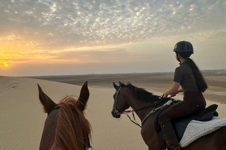 جولة الدوحة: جولة صحراوية بصحبة مرشد سياحي مع حصان عربي