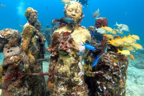 Cancun: Museu Subaquático Musa e excursão de mergulho nos recifesCancun: Musa Underwater Museum e Reef