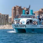 Fuengirola: tour in catamarano per avvistare i delfini