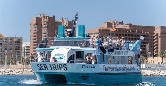 Fuengirola: Katamaran-Tour zu den Delfinen