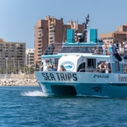 Fuengirola: Catamaran Tour to Spot Dolphins