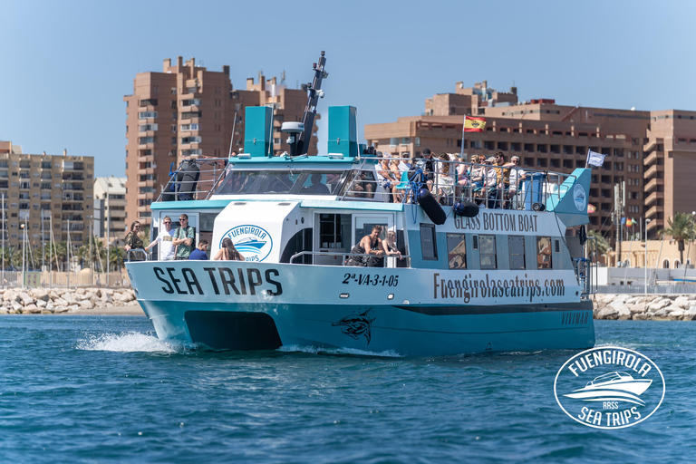 Fuengirola : Tour en catamaran pour repérer les dauphins