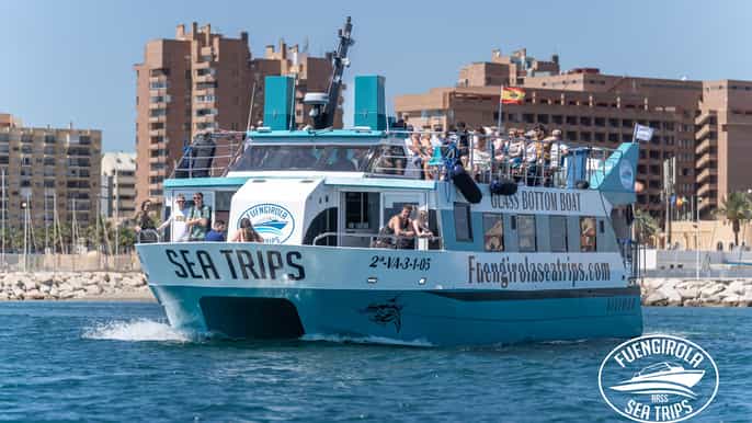 Fuengirola: Catamaran Tour to Spot Dolphins
