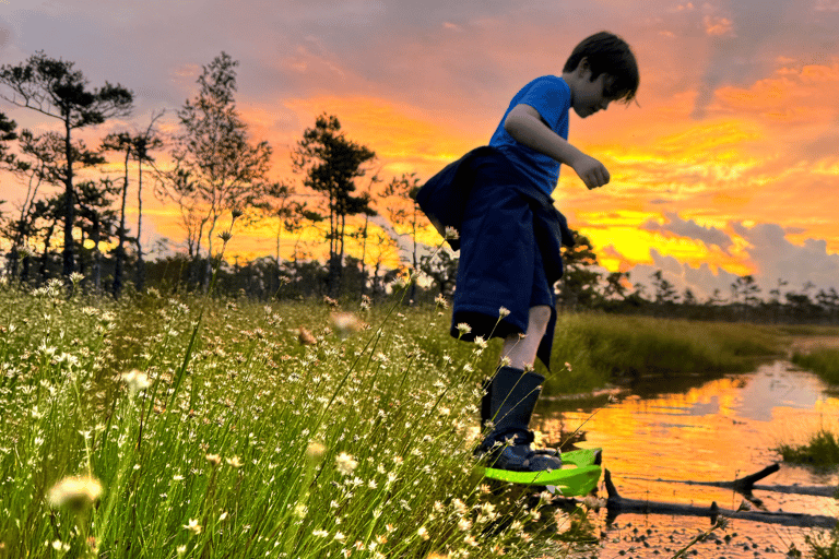 From Riga: Bog-Shoe Hiking Tour at Cenas or Ķemeri Bog