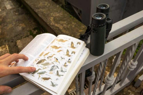 Barbados: Bird Watching Experience