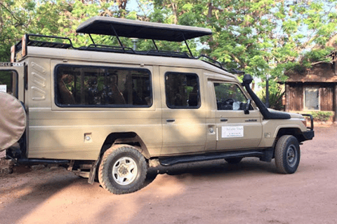 Nairóbi: excursão de meio dia ao parque nacional com Wi-Fi gratuito