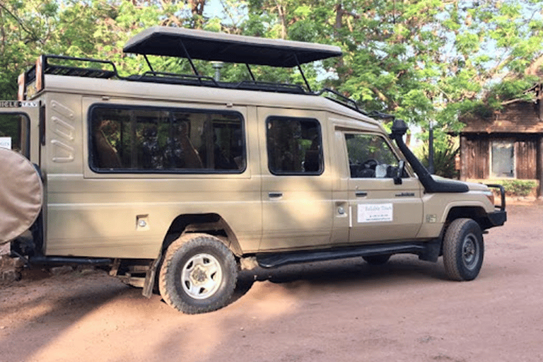 Nairóbi: excursão de meio dia ao parque nacional com Wi-Fi gratuito