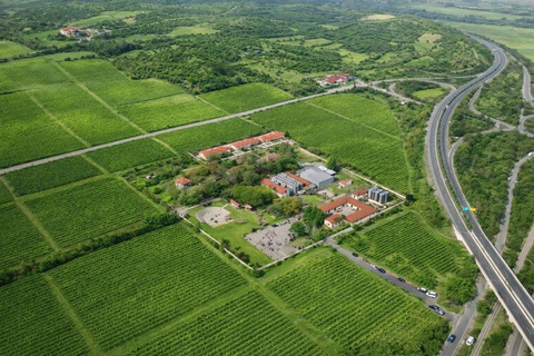 Skopje: Tikveš Wine Tour, 2 Wineries, Stobi Ruins & Lunch
