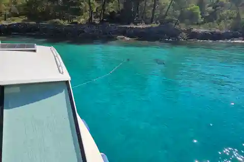 Zadar: Wycieczka łodzią po plaży Saharun i zatopionym statku