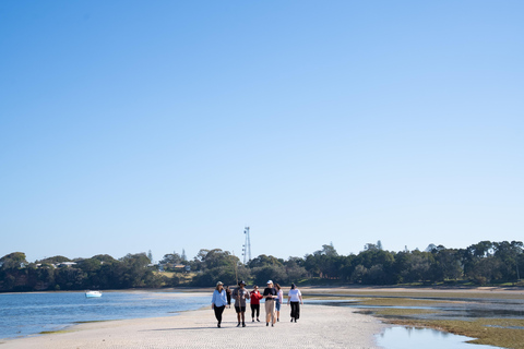 Stradbroke Island: First Nations Oyster Farm Tour & Tasting