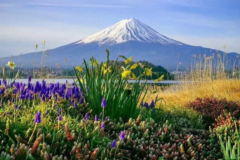 Tokyo: Mt Fuji&Chureito Pagoda&Lake Kawaguchi&Oshino Hakkai Free Karaage Chicken Set | 8AM Tokyo Station Departure