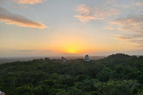 From Flores Guided Tour to Tikal with transportation + lunch Guided Tour of Tikal