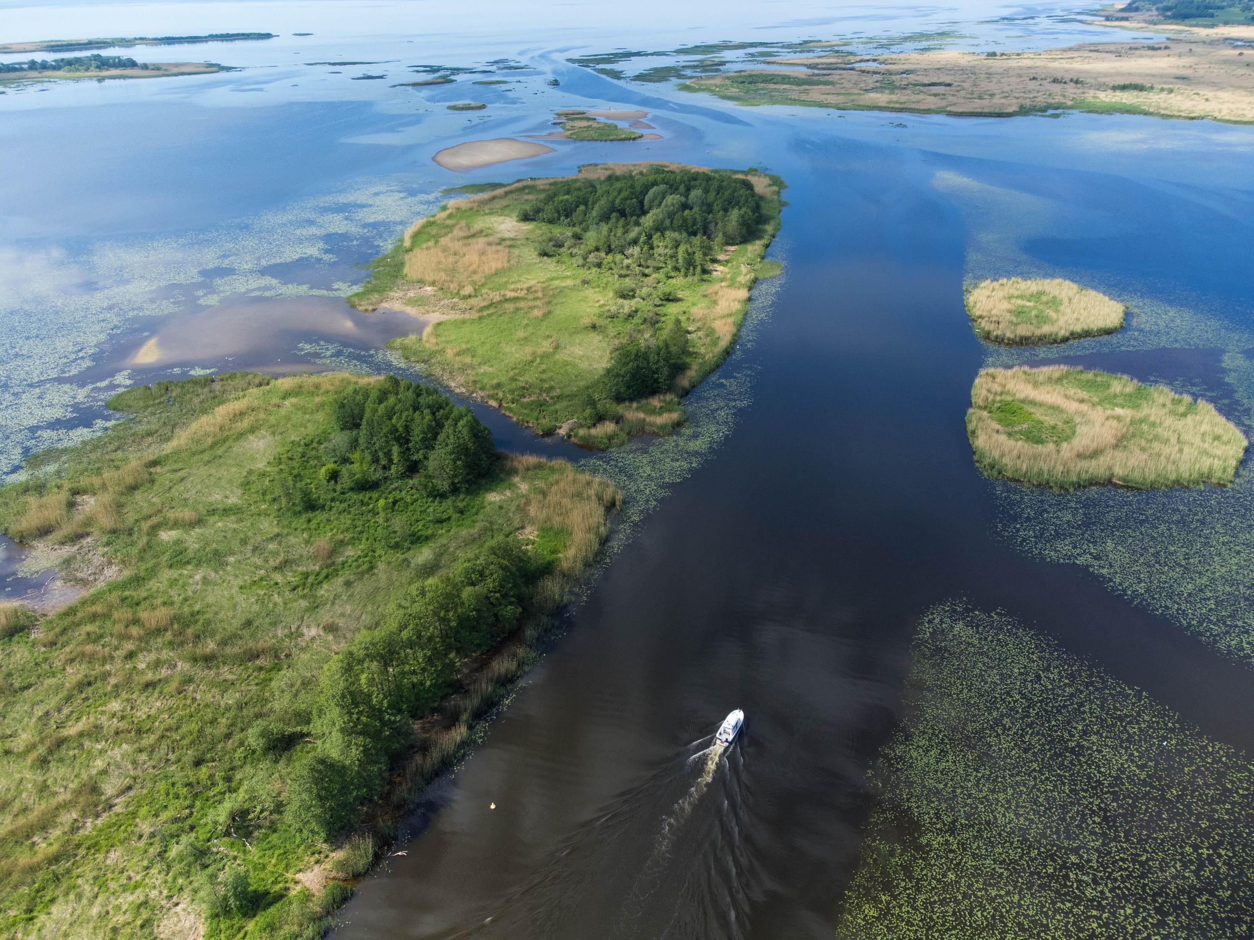 Nida: Vogelbeobachtungsabenteuer im Nemunas-Delta
