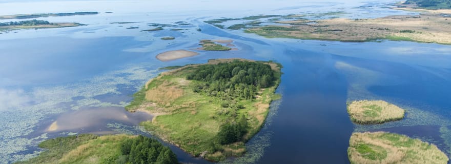 Nida : aventure ornithologique dans le delta du Niémen