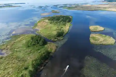 Nida: Vogelbeobachtungsabenteuer im Nemunas-Delta