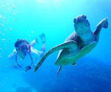 Okinawa : Kerama Whole Day Snorkeling Tour From Chatan
