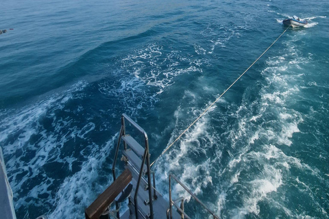 Pattaya: Fun dives in Pattaya and Samaesarn with transfer 3 Dives